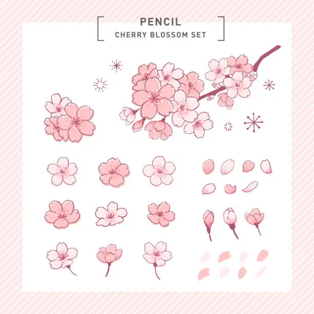 Vector illustration of Sakura, Yoshino cherry cute handwritten touch parts illustration set