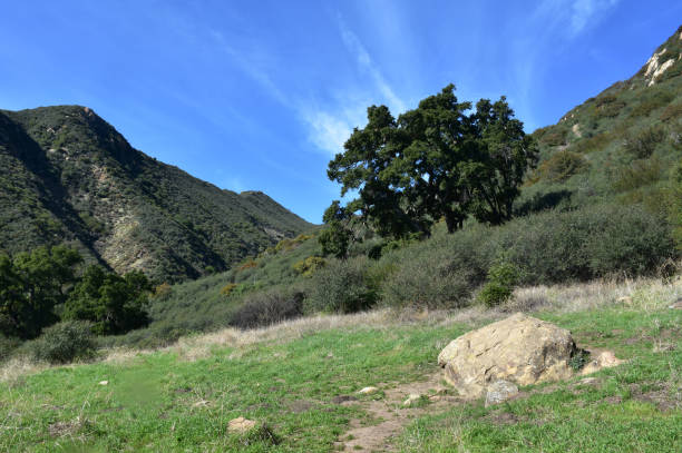 istock Scenic Views of Rattlesnake Canyon 1296729143