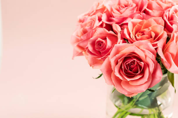 istock Bouquet of pink roses on pink background 1296729190