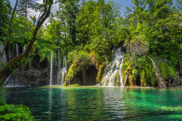 istock Closeup on waterfalls, covered in lichens illuminated by sunlight in Plitvice Lakes 1296731374