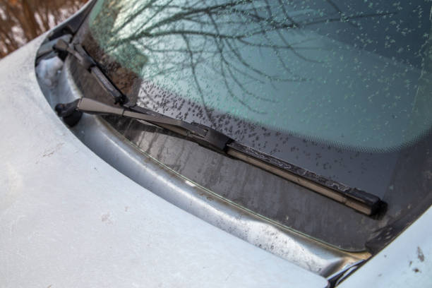 istock light frost flakes on morning car windshield and waterblade wipers 1296731429