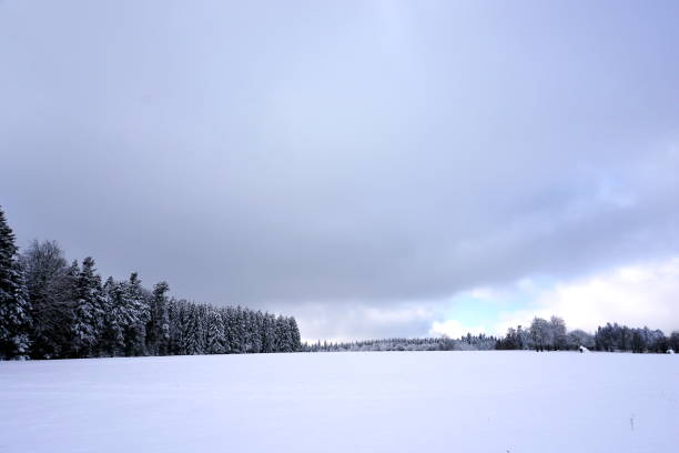 istock winter landscape with snow-covered trees 1296732638
