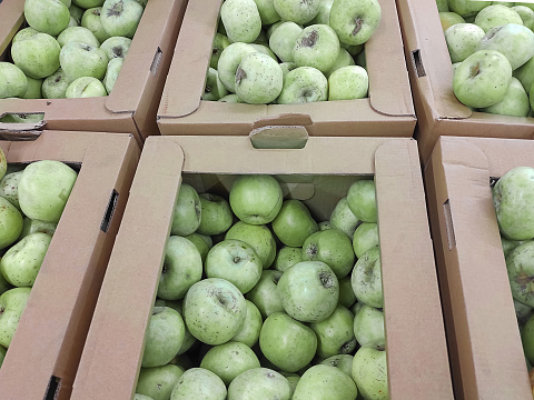 Green ripe apples in cardboard boxes in market.
