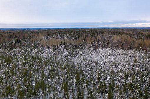 Nordic nature. Winter season. Drone photography.