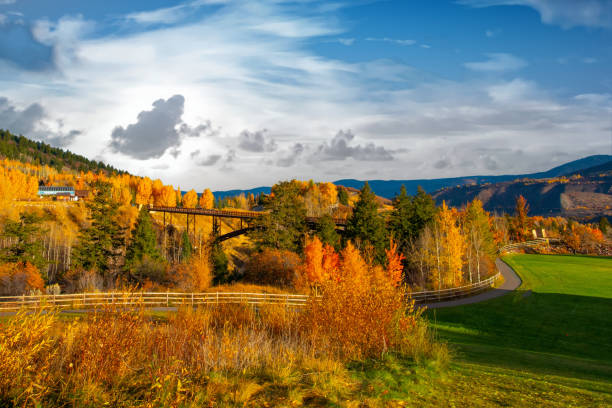 istock Walking path and bridge in Fall-Aspen Colorado 1296740491