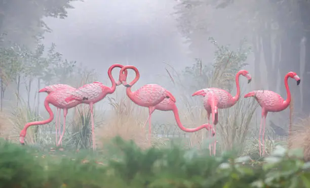 Photo of sculptures of flamingos in the park misty morning installation reeds grass trees