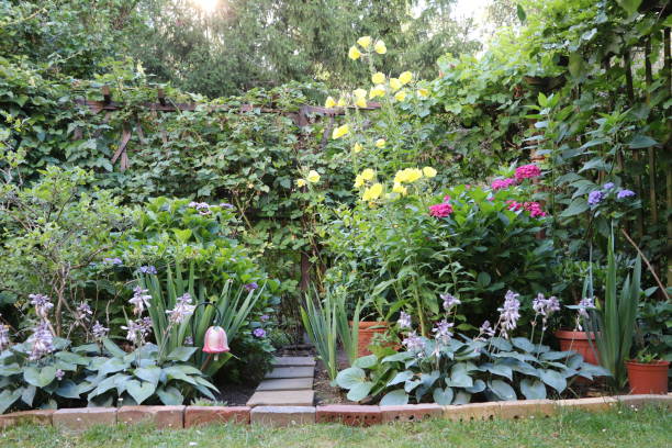 istock Blooming garden in summer, Germany 1296742740