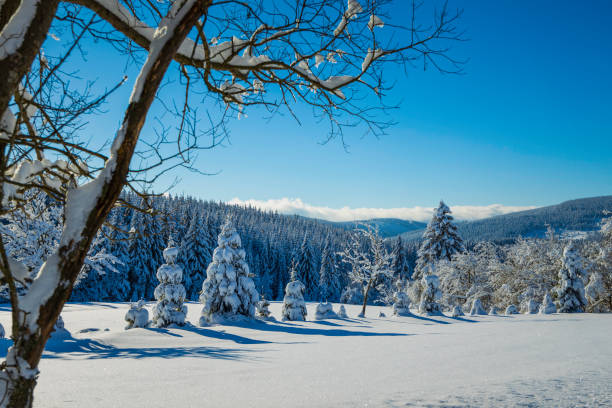istock beautiful snowy winter mountain landscape 1296744922