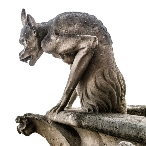 Gargoyle or chimera of Notre Dame de Paris isolated on white background, France. Gargoyles of this cathedral are Gothic landmark in Paris. Famous old demon statue close-up.