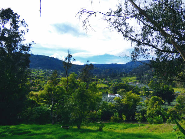 istock Small township in the mountains 1296750075