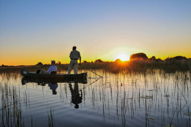 tre uomini in canoa al tramonto - delta dellokavango foto e immagini stock