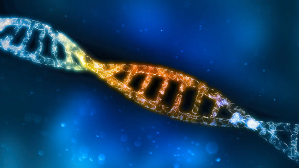 istock Dna helix, computer analysis and testing. Genetic instructions used for the growth of living organisms. New genetic discoveries 1296753748