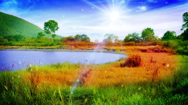Sunny meadow near pond