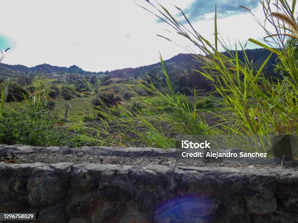 Rock Wall After A Sown Stock Photo - Download Image Now - Backgrounds, Colombia, Color Image