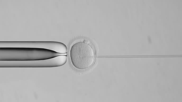 1,112 Test Tube Baby Stock Videos and Royalty-Free Footage - iStock | Test tube baby poster, First test tube baby 1,112 Test Tube Baby Stock Videos and Royalty-Free Footage - iStock | Test tube baby poster, First test tube baby