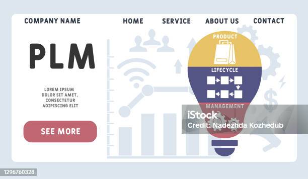 Plm Design Icon Vector Website Design Template Plm Product Lifecycle Management Acronym ...
