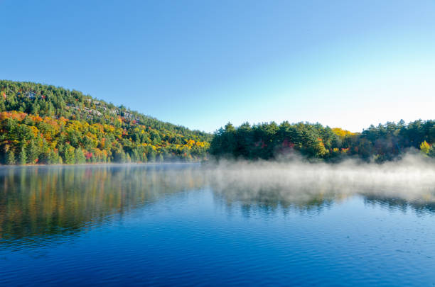 istock Sunrise above forest lake 1296762991