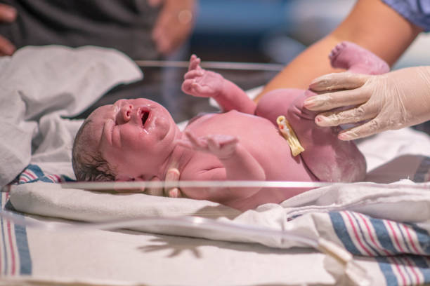 istock A new life beings 1296764693