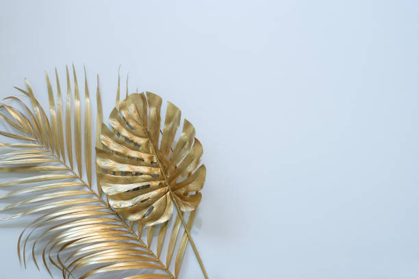 istock Gold tropical palm leaves Monstera on white background. Flat lay, 1296769764