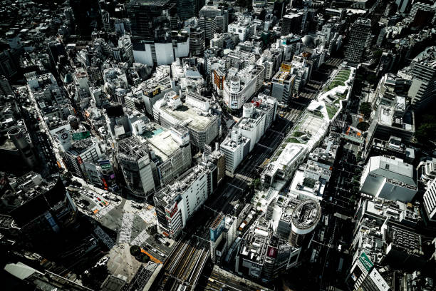 istock Tokyo skyline seen from the Shibuya Sky 1296773341