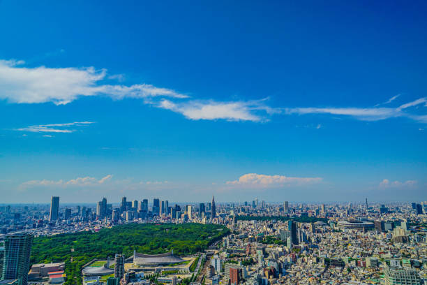 istock Tokyo skyline seen from the Shibuya Sky 1296773354