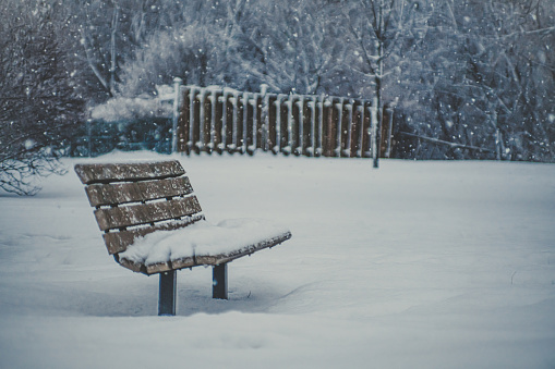 A bench in a snowy park.