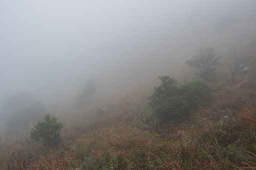 Everything gets covered by the blanket of thick fog during the hike to Sunset peak on Lantau island.