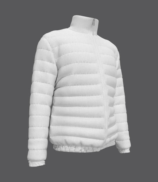 istock Men's warm sport puffer jacket isolated over grey background 1296786541