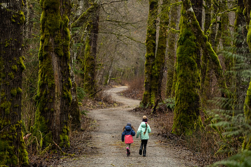 Children spending time in nature. Girls in a majestic forest. Childhood memories in nature.