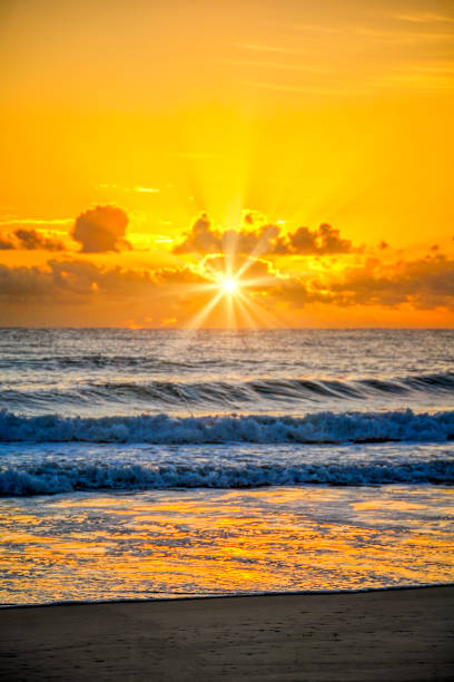 istock Queensland beach sunrise 1296789895