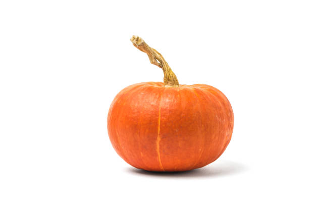 istock Beautiful ripe pumpkin isolated on white background. 1296793436