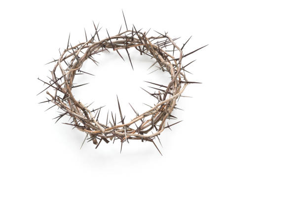 istock Crown of Thorns on a White Background 1296793497