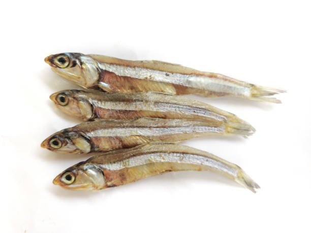 istock Dried Anchovy Fish isolated on a White Background,Selective Focus. 1296796039