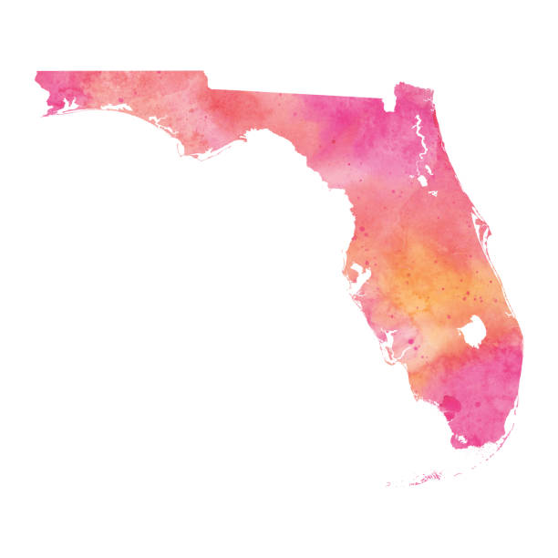 флорида, сша акварель карта raster иллюстрация в розовых и коралловых тонов - florida cartography map florida keys stock illustrations