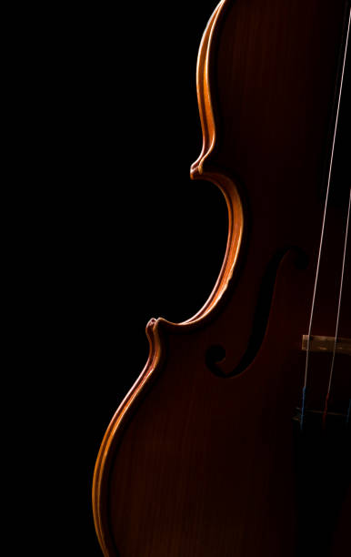 istock Violin music instrument closeup isolated on black 1296798676
