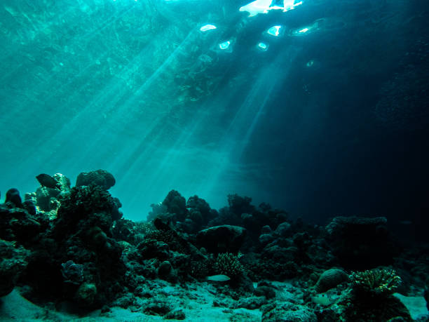 istock Light rays underwater diving in the sea 1296805817