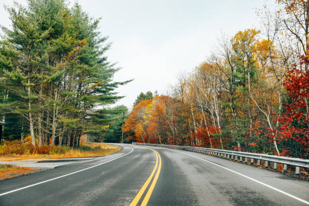 istock appalachian road in new hampshire 1296809546