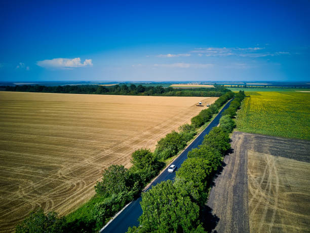 istock Aerial view over the agricultural fields 1296810730