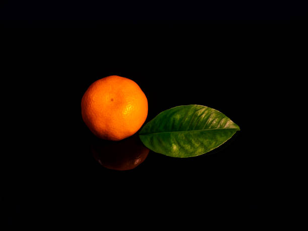 Orange tangerine fruit with green leaf on a black background.