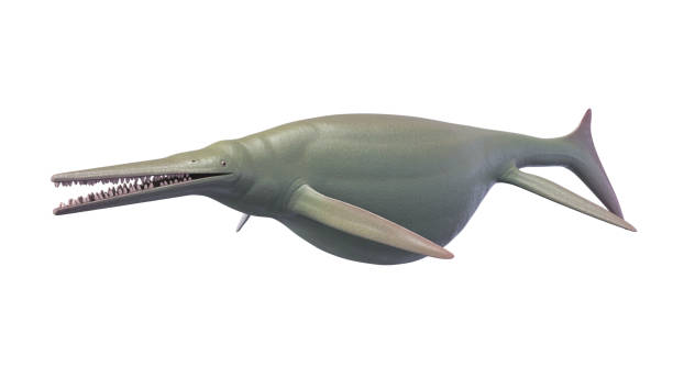 Giant Ichthyosaur stock photo