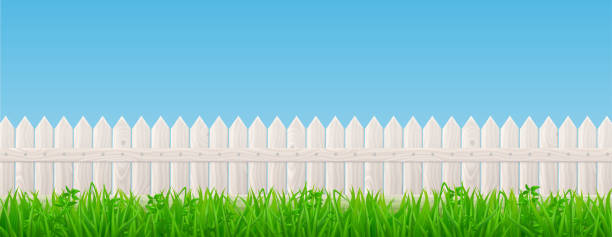 白い木のピケットフェンスと緑の草 - picket fence fence picket front or back yard点のイラスト素材／クリップアート素材／マンガ素材／アイコン素材