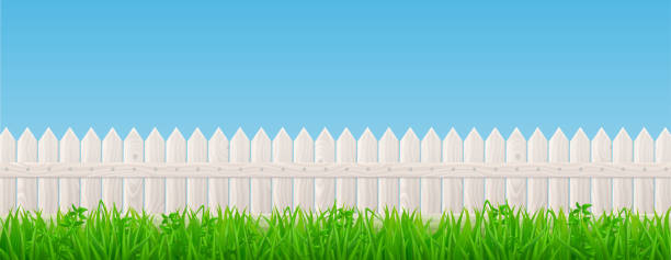 istock White wooden picket fence and green grass 1296814337