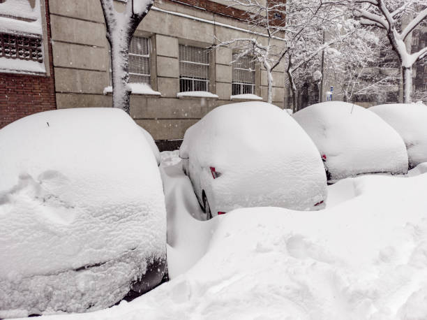 istock Cars trapped in the snow 1296816495