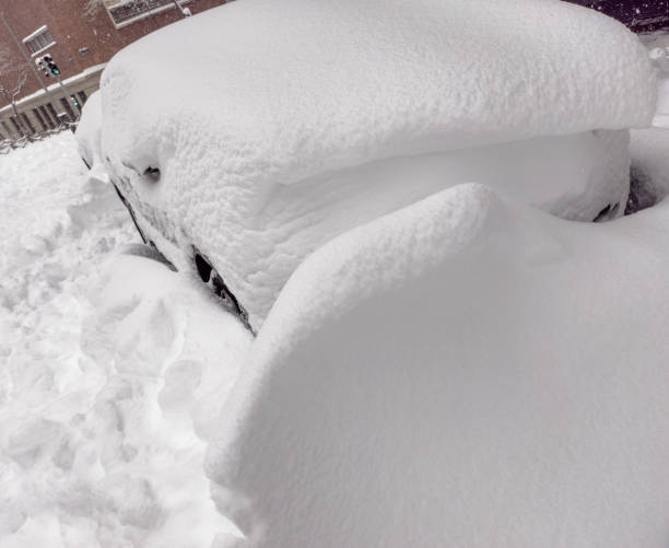 istock Cars trapped in the snow 1296816497