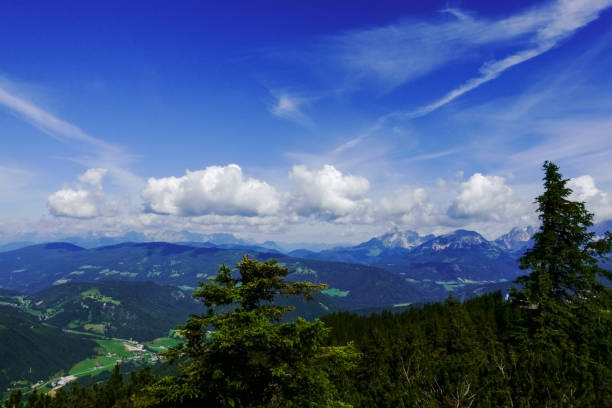 istock wonderful mountain landscape with green trees in the foreground 1296817418