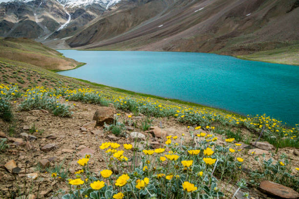 istock Chandratal lake on a cloudy day 1296818869