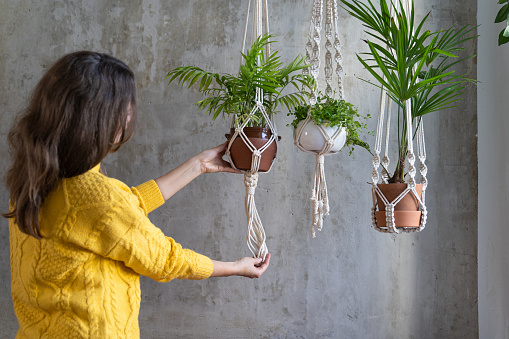 Woman gardener holding macrame plant hanger with houseplant over grey wall. Hobby, love of plants, home decoration concept.