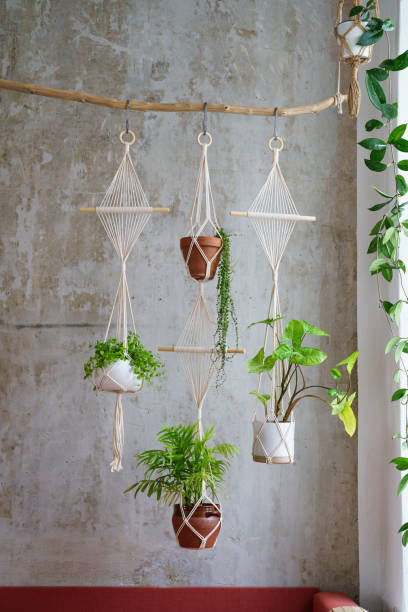Handmade cotton macrame plants hanger hanging from wood branch over grey wall at home. Love of houseplants, hobby. Handmade cotton macrame plants hanger hanging from wood branch over grey wall at home. Love of houseplants, hobby. macrame photos stock pictures, royalty-free photos & images