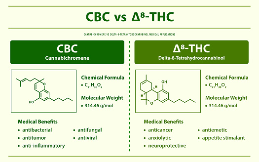 CBC vs 8-THC, Cannabichromene vs Delta 8 Tetrahydrocannabinol horizontal infographic illustration about cannabis as herbal alternative medicine and chemical therapy, healthcare and medical science vector.