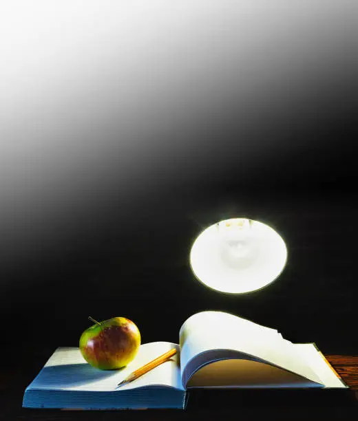 A desk lamp illuminating a notebook